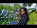 Nee Maranno Poyorunnal Priya Jerson Kilichundan Mambazham