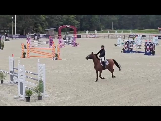 AV Jument Performante 125 13O - Boreale de Beaujour