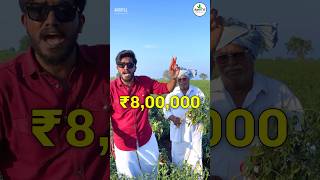Download lagu Chilli 🌶️ Farming in Guntur #farmingandigrowit mp3