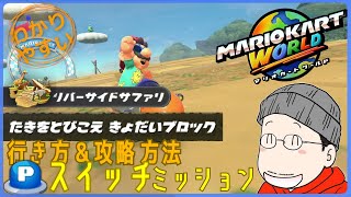 『たきをとびこえ きょだいブロック』Pスイッチの行き方＆完全攻略プレイ｜マリオカートワールド