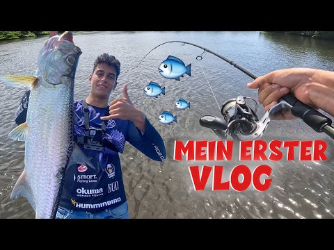 DIESER FISCH SPRINGT UNS IN BOOT
