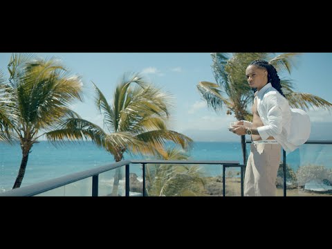 T-STONE - Au féminin - Clip Officiel