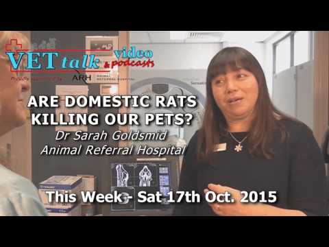 PREVIEW: Latest VETtalk Podcast Sat 17th Oct 2015