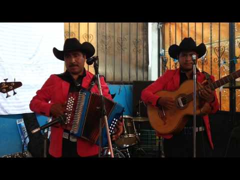 El jarocho y el canelo - CONJUNTO REAL DEL VALLE