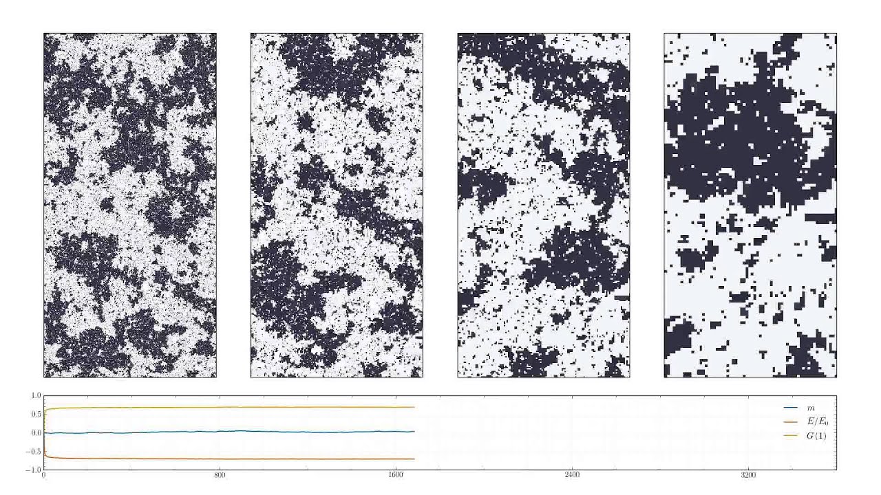Scale Invariance in the Ising Model