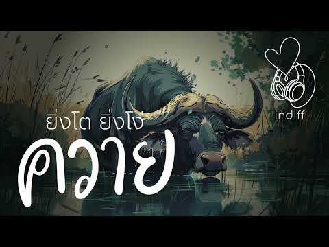 ยิ่งโต ยิ่งโง่ ควาย - indiff #indiff #เพลงเศร้า #เพลงอกหัก #เหงา  #เพลงเพราะ #เพลงฮิต #เพลงใหม่