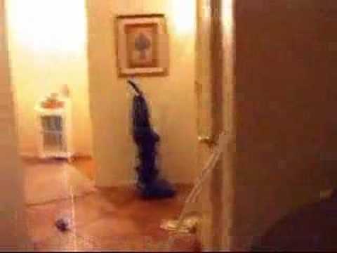 SomePeopleThink: Racecar Backwards Is Racecar