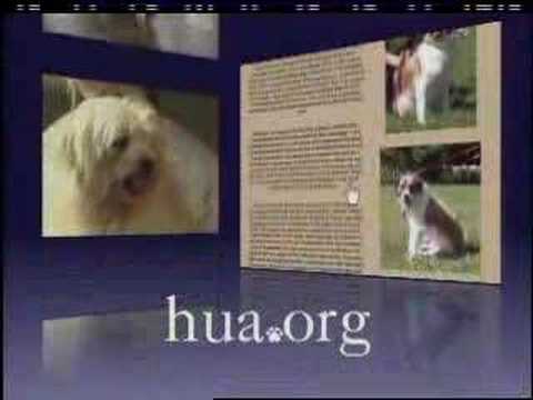 Hearts United for Animals PSA