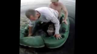 Шимпанзе и ребёнок Подборка приколов 11