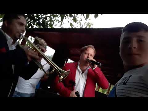 Horicianu Silviu , Ionel Păduraru . formația vestitorii