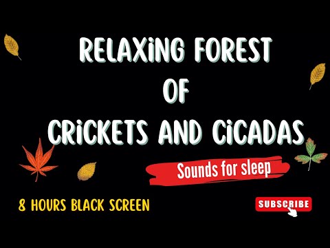 Night Forest Sounds of Cricket's and Cicadas - 8 Hours Black Screen for Sleep