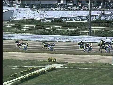 Trotto 31/05/2015 - 3° corsa