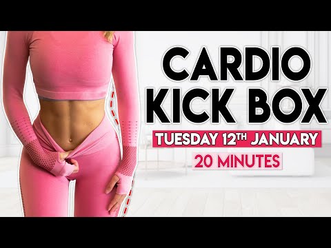 CARDIO KICK BOX (intense fat burn) | 20 minute Home Workout