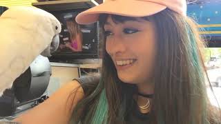 kero kero bonito being dorks for 6 minutes