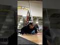 I Did 100 Pushups 100 Pull Ups Everyday For 30 Days Pushups Pullups Workout Exercise Fitness