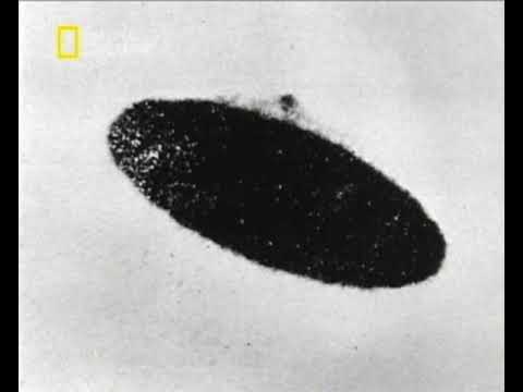 Az igazság nyomában - UFO-k ( teljes )