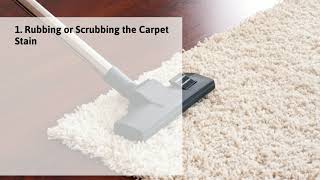 Costly Carpet Cleaning Mistakes to Avoid