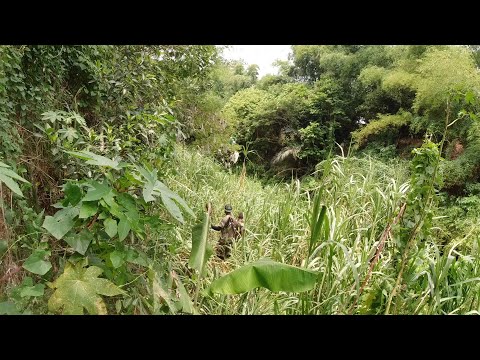 SE03EP086 - PAGSUBOK ang DINAANAN bago MAKARATING sa PAROROONAN ( Catch & Cook ) Province of Quezon