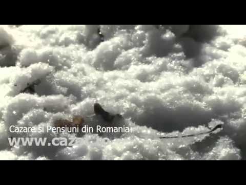 Cazare Valea Balceasca, Valcea - Cazat.ro