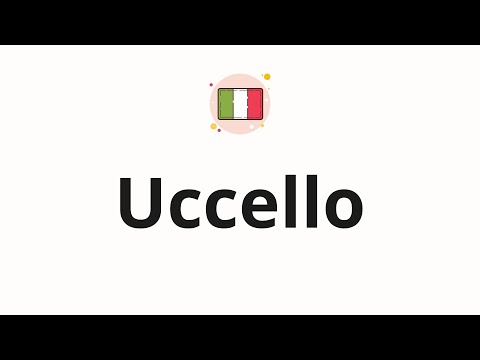 How to pronounce  Uccello