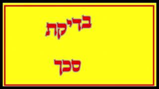 בדיקת סכך מחרקים, סכך נגוע, בדיקת סכך לסוכות, הרב יוסף דורפמן, Rabbi yosef dorffman, כיצד בודקים סכך