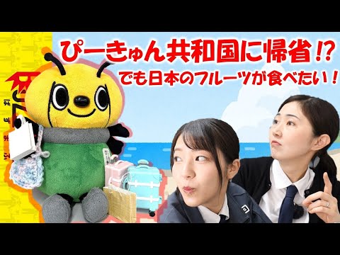 【ぴーきゅんからのお願い】海外に植物を送るには？