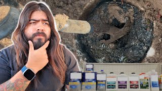 THE Best Additive for Septic Tanks