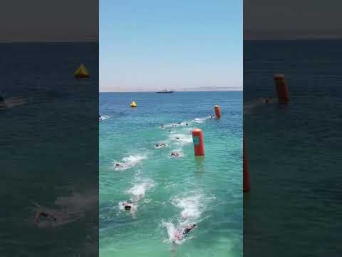 ¡Las "Changuitas al Agua" te invitan a la fiesta del nado en Caldera! | Aguas Abiertas Atacama 2025