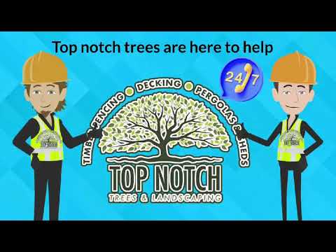 Top notch trees & landscaping video.