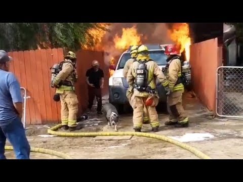 Man runs into burning home to save his dog I ABC7