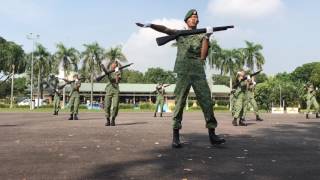 Cover art for feel invincible (PDS)