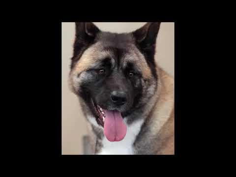 Clubhouse Featuring Carl - Light My Fire