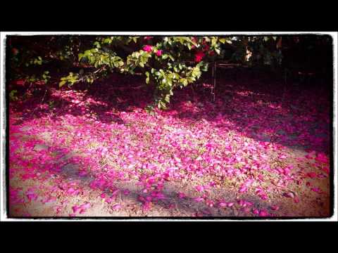 Apples and Pairs - Slow Club