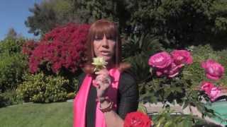 Coco Peru "Feeling Good"