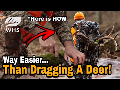 How To Butcher A Deer In Remote Locations
