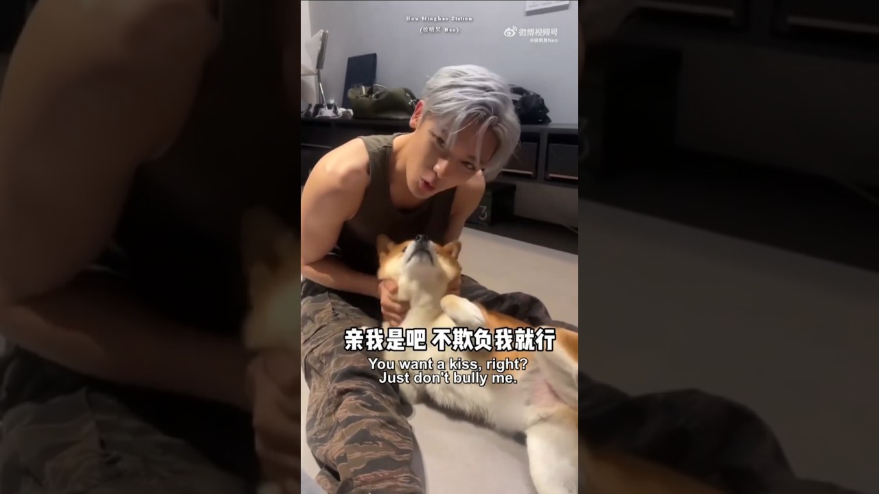 [ENG SUB] 20231231 Hou Minghao Weibo Update with his Shiba Inu (Monkey) #houminghao #neohou #侯明昊
