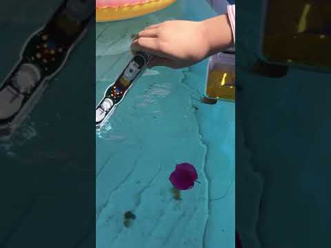 16 de setembre de 2017