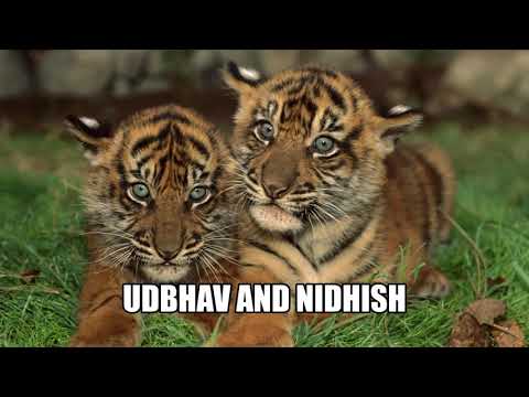 Udbhav's Trailer Creation