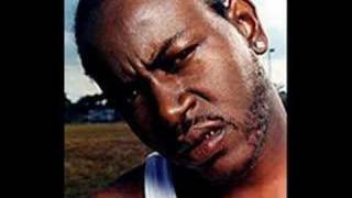 trick daddy feat. young buck straight up