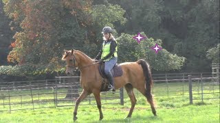 How to stay in the saddle, Arabian horse First Event