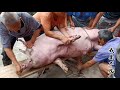 Really filming the whole process of killing pigs in rural areas is really speechless