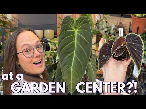 Impressive Plant Shop Tour with many rare finds | Plant with Roos
