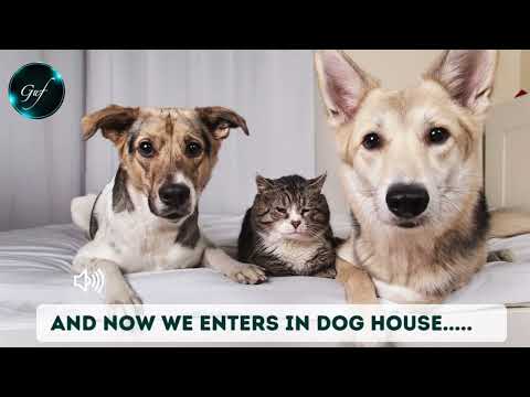 2025 Tata House मेरी कुत्तों से मुलाकात FINAL LOADED