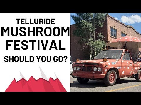 Telluride Mushroom Festival - Should You Go?