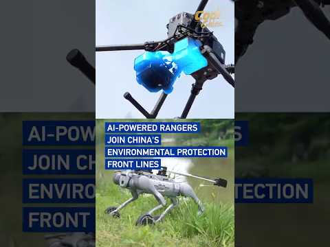 AI-powered rangers join China's environmental protection front lines #coolchina