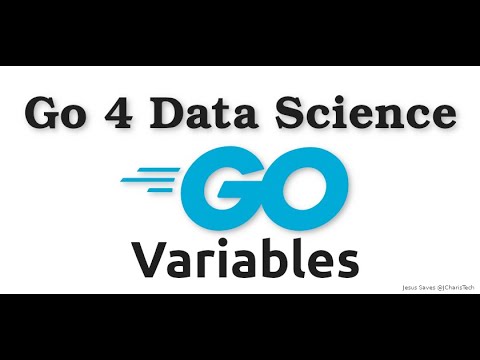 Go4DataScience - Variables in Golang