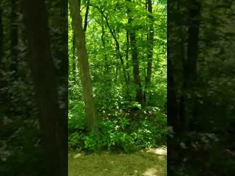 Some of the area and campsites at Blue Mounds State Park