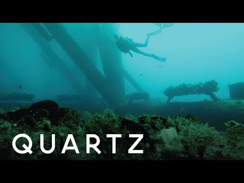 海底農場可以在2050年養活全世界的人 (Farms under the sea could feed the world in 2050)