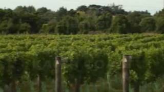 preview picture of video 'Ohau Gravels Vineyard New Zealand'