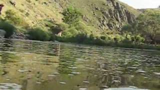 preview picture of video 'Sumucak Köyü Koyun Gölünde Yüzerken'